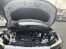 
										Mitsubishi Xforce Premium 2024 full									